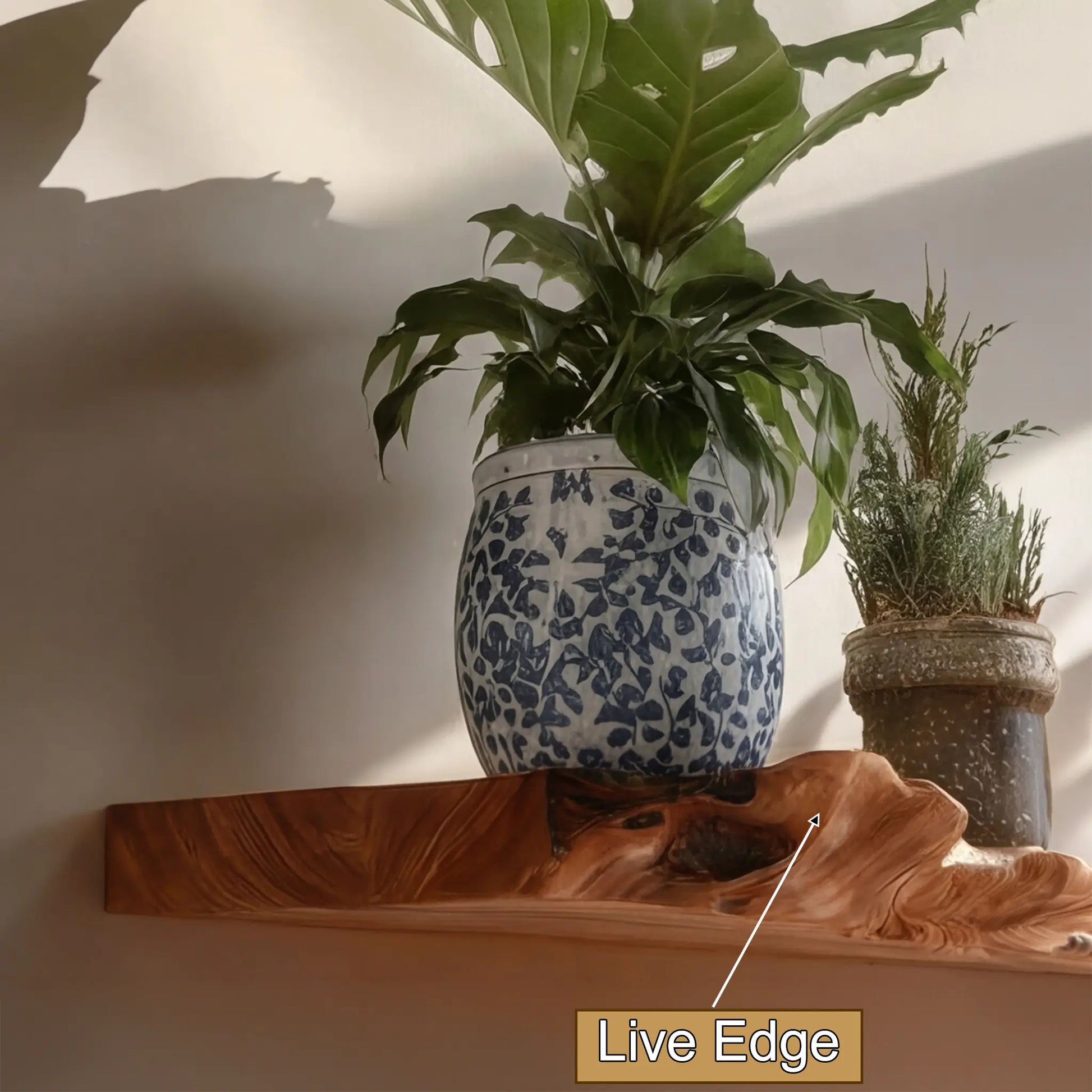 Dravik Live Edge Solid Wood Floating Shelf SPA300692 Lynnsnail