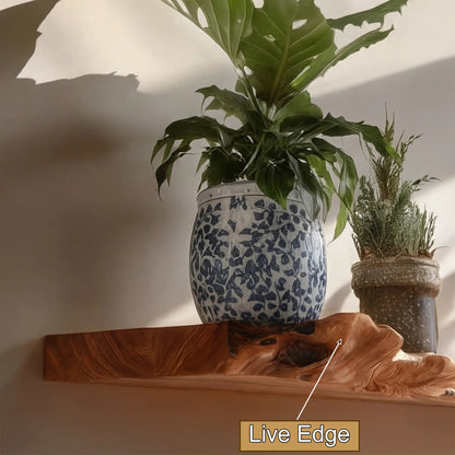 Dravik Live Edge Solid Wood Floating Shelf SPA300692 Lynnsnail